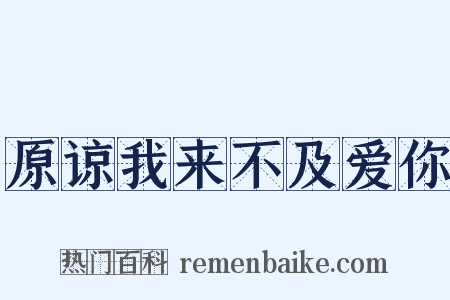 原谅我来不及爱你是什么意思的图片